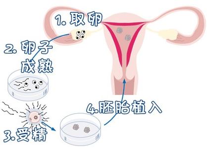 实验室 Fig.02